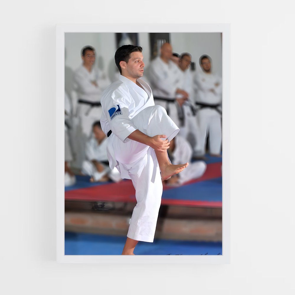 Poster Karate Masterclass – affiche Karaté (vue 3)